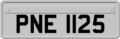 PNE1125