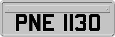 PNE1130
