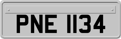 PNE1134