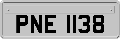 PNE1138
