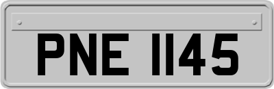 PNE1145