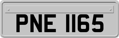 PNE1165