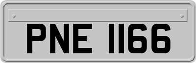 PNE1166