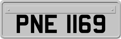 PNE1169