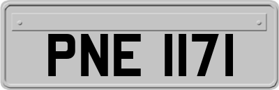 PNE1171
