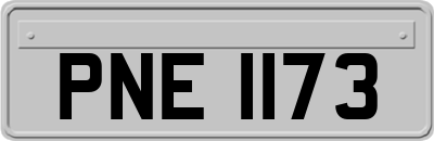 PNE1173