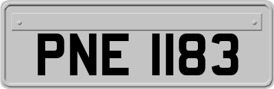 PNE1183