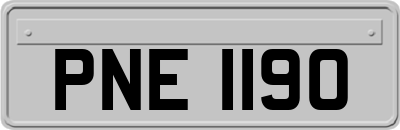 PNE1190