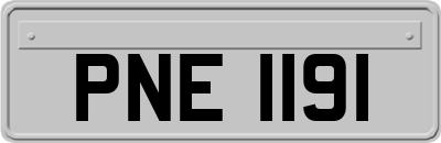 PNE1191