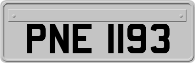 PNE1193