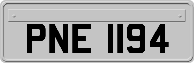 PNE1194