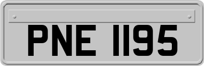 PNE1195