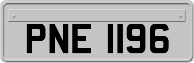 PNE1196