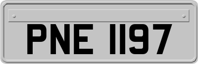 PNE1197