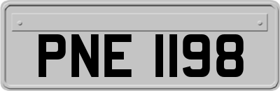 PNE1198