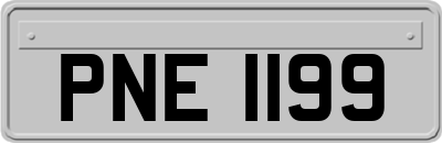 PNE1199