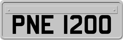 PNE1200