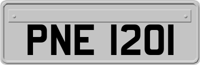 PNE1201
