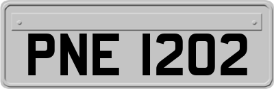 PNE1202