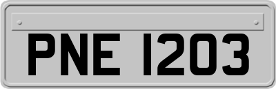 PNE1203