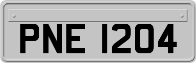 PNE1204