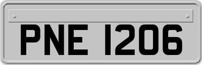 PNE1206