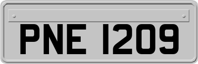 PNE1209