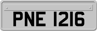 PNE1216