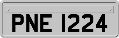PNE1224