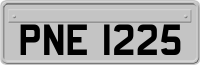 PNE1225