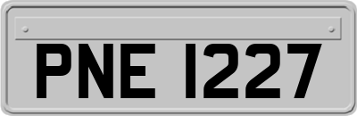 PNE1227