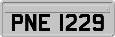 PNE1229