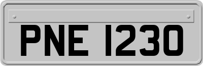 PNE1230