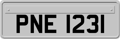 PNE1231