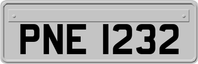 PNE1232