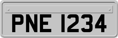 PNE1234