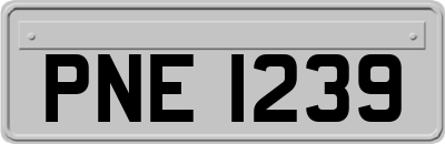 PNE1239