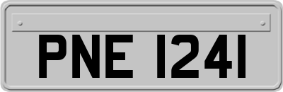 PNE1241