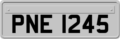 PNE1245