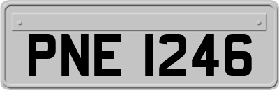 PNE1246
