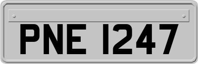 PNE1247
