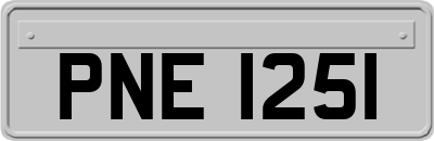 PNE1251