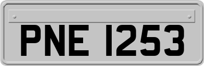 PNE1253