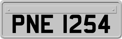 PNE1254