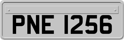 PNE1256