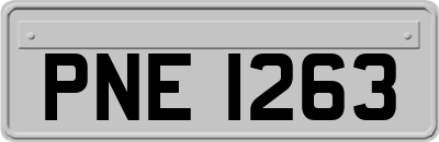 PNE1263