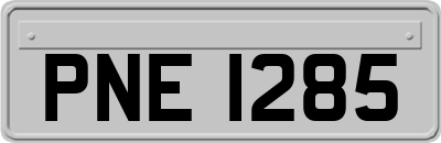 PNE1285