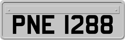 PNE1288