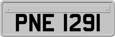 PNE1291
