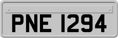 PNE1294